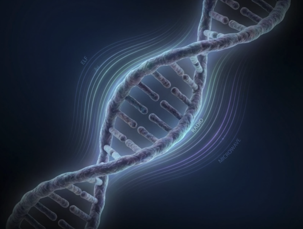 Fátima Orta Jacinto | Uma viagem em volta dos meus mundos!